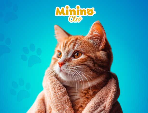 MininoClean - Características principales